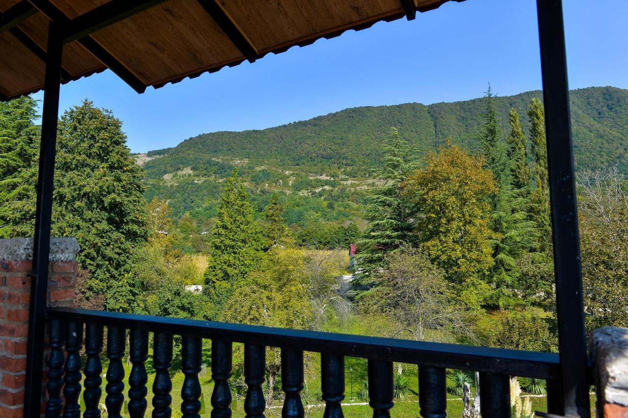 מלון Gordi Chateau Chikovani מראה חיצוני תמונה
