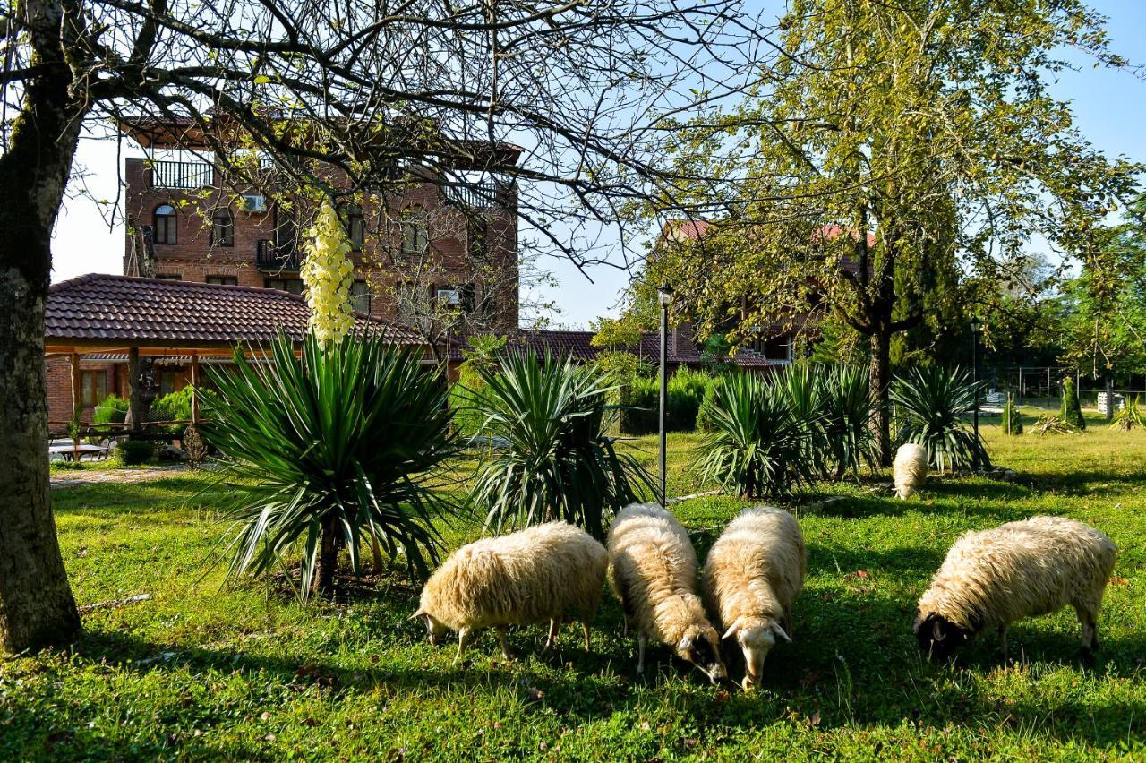 מלון Gordi Chateau Chikovani מראה חיצוני תמונה