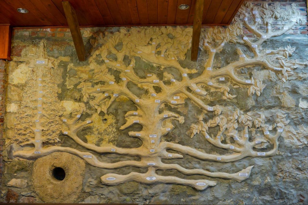 מלון Gordi Chateau Chikovani מראה חיצוני תמונה